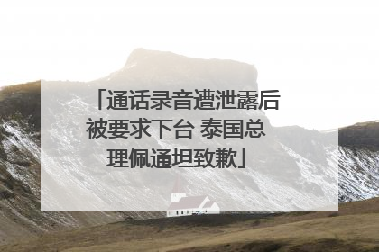 通话录音遭泄露后被要求下台 泰国总理佩通坦致歉