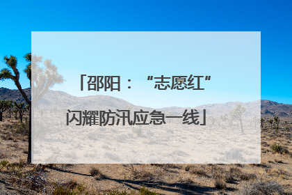 邵阳：“志愿红”闪耀防汛应急一线