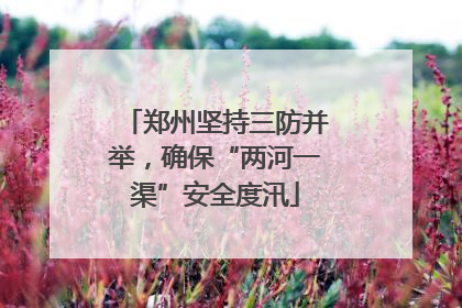 郑州坚持三防并举，确保“两河一渠”安全度汛