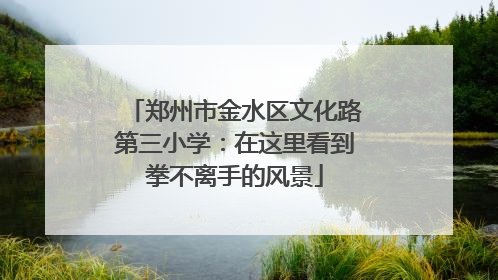 郑州市金水区文化路第三小学：在这里看到拳不离手的风景