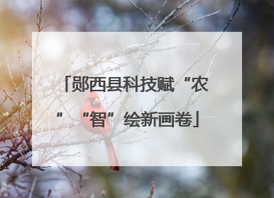 郧西县科技赋“农”“智”绘新画卷