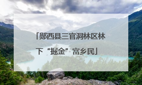 郧西县三官洞林区林下“掘金”富乡民