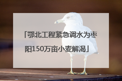 鄂北工程紧急调水为枣阳150万亩小麦解渴