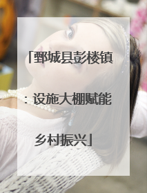 鄄城县彭楼镇：设施大棚赋能乡村振兴