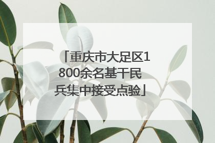 重庆市大足区1800余名基干民兵集中接受点验