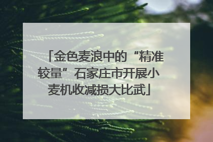 金色麦浪中的“精准较量”石家庄市开展小麦机收减损大比武