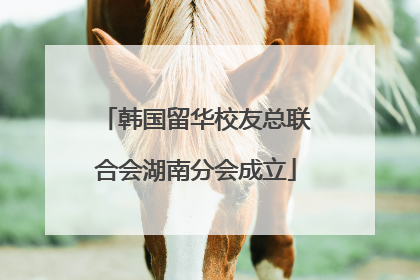 韩国留华校友总联合会湖南分会成立