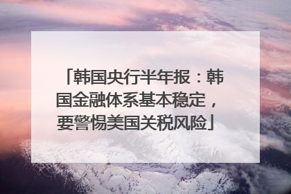 韩国央行半年报：韩国金融体系基本稳定，要警惕美国关税风险