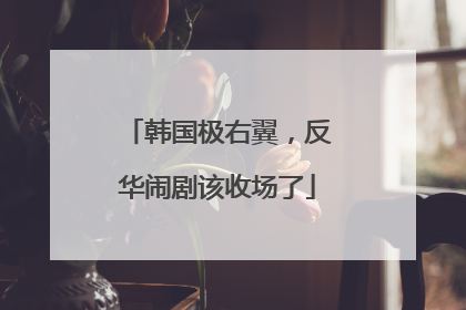 韩国极右翼，反华闹剧该收场了