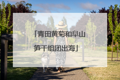 青田黄菊和阜山笋干组团出海