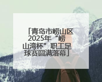 青岛市崂山区2025年“崂山湾杯”职工足球赛圆满落幕