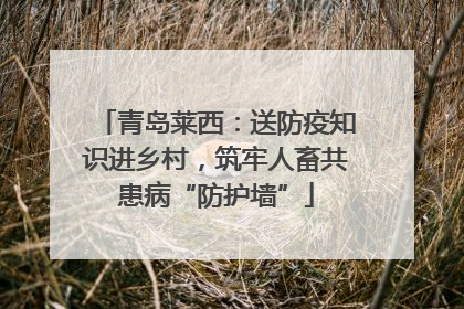 青岛莱西：送防疫知识进乡村，筑牢人畜共患病“防护墙”