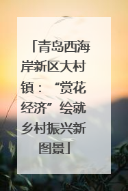青岛西海岸新区大村镇：“赏花经济”绘就乡村振兴新图景