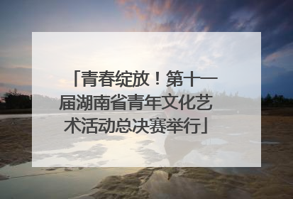 青春绽放！第十一届湖南省青年文化艺术活动总决赛举行