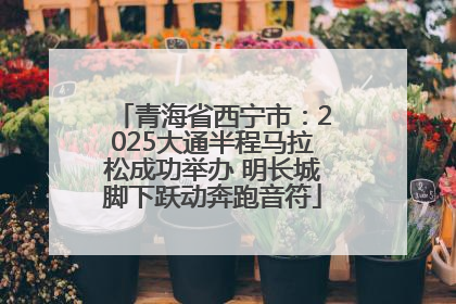 青海省西宁市：2025大通半程马拉松成功举办 明长城脚下跃动奔跑音符
