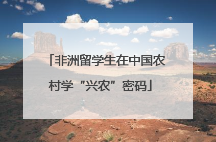 非洲留学生在中国农村学“兴农”密码