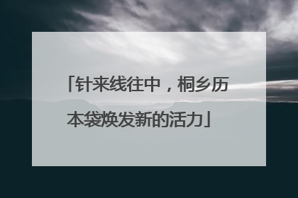 针来线往中，桐乡历本袋焕发新的活力