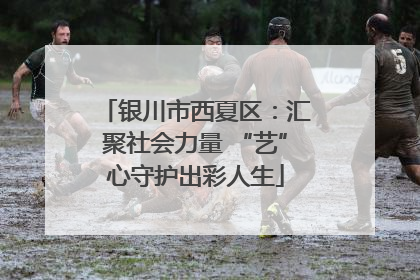 银川市西夏区：汇聚社会力量 “艺”心守护出彩人生