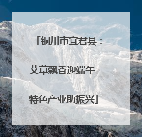 铜川市宜君县：艾草飘香迎端午 特色产业助振兴
