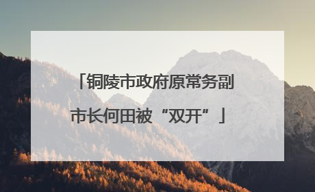 铜陵市政府原常务副市长何田被“双开”
