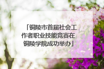 铜陵市首届社会工作者职业技能竞赛在铜陵学院成功举办