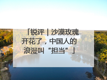 锐评｜沙漠玫瑰开花了，中国人的浪漫叫“担当”