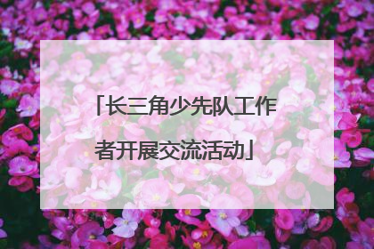 长三角少先队工作者开展交流活动