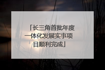 长三角首批年度一体化发展实事项目顺利完成