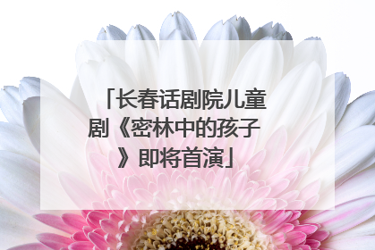 长春话剧院儿童剧《密林中的孩子》即将首演