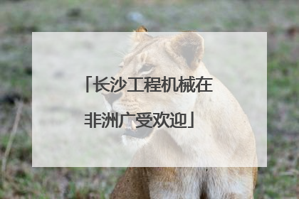 长沙工程机械在非洲广受欢迎