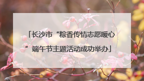 长沙市“粽香传情志愿暖心”端午节主题活动成功举办