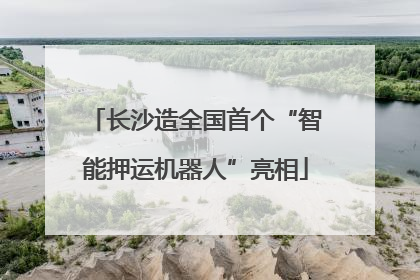长沙造全国首个“智能押运机器人”亮相