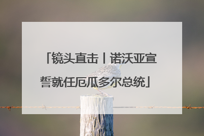 镜头直击丨诺沃亚宣誓就任厄瓜多尔总统