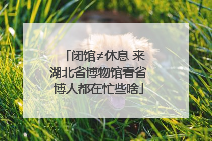 闭馆≠休息 来湖北省博物馆看省博人都在忙些啥