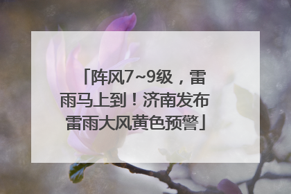 阵风7~9级，雷雨马上到！济南发布雷雨大风黄色预警