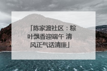 陈家渡社区：粽叶飘香迎端午 清风正气话清廉