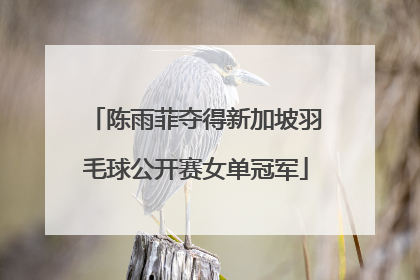 陈雨菲夺得新加坡羽毛球公开赛女单冠军