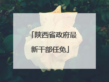 陕西省政府最新干部任免
