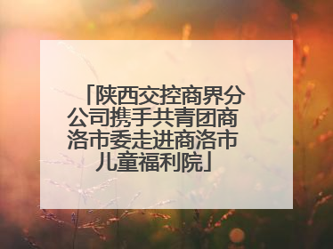 陕西交控商界分公司携手共青团商洛市委走进商洛市儿童福利院