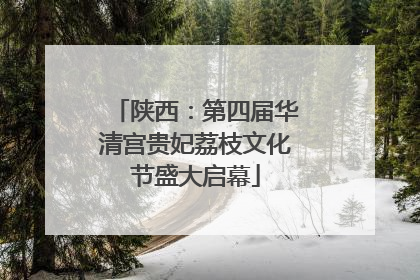 陕西：第四届华清宫贵妃荔枝文化节盛大启幕