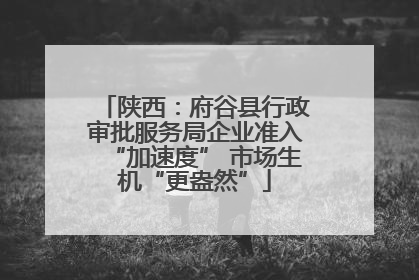 陕西：府谷县行政审批服务局企业准入“加速度” 市场生机“更盎然”