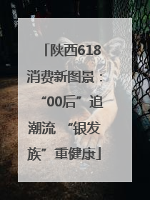 陕西618消费新图景：“00后”追潮流 “银发族”重健康