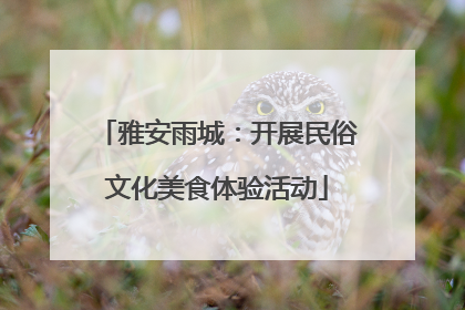 雅安雨城：开展民俗文化美食体验活动