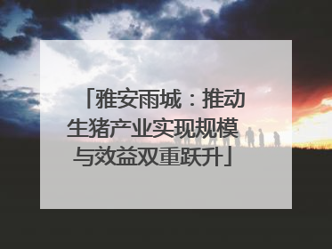 雅安雨城：推动生猪产业实现规模与效益双重跃升