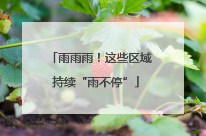 雨雨雨！这些区域持续“雨不停”
