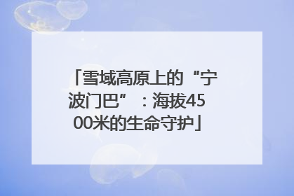 雪域高原上的“宁波门巴”：海拔4500米的生命守护