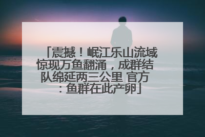 震撼！岷江乐山流域惊现万鱼翻涌，成群结队绵延两三公里 官方：鱼群在此产卵