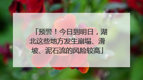 预警！今日到明日，湖北这些地方发生崩塌、滑坡、泥石流的风险较高