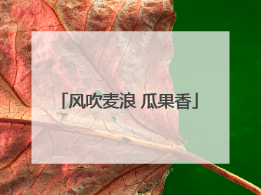 风吹麦浪 瓜果香