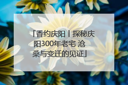 香约庆阳丨探秘庆阳300年老宅 沧桑与变迁的见证